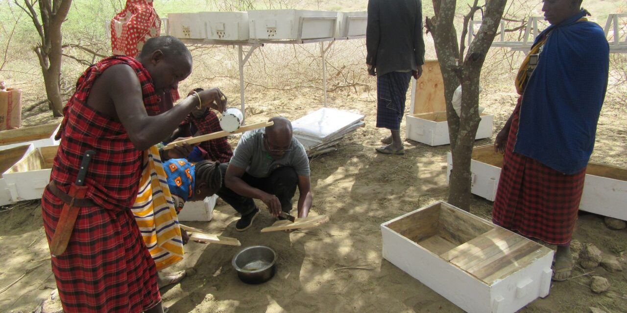 Raise your hand for hygiene: A global call for a hygiene indicator in the SDGs!