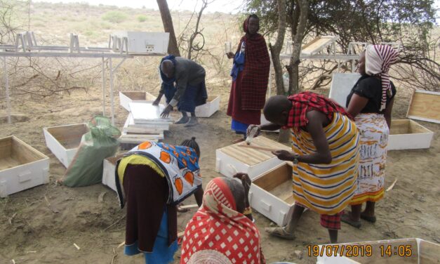 Climate change resilience – Longido