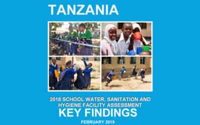 WASH report findings 2019