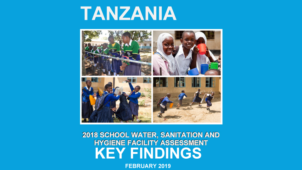 WASH report findings 2019